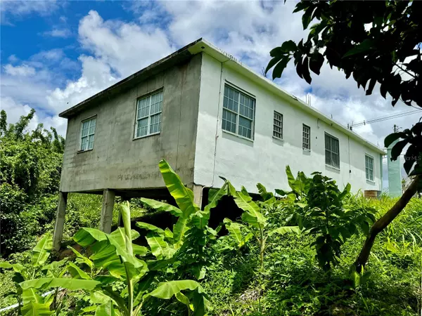 Rio Grande, PR 00745,Carr. 186 BO JIMENEZ KM. 25.1