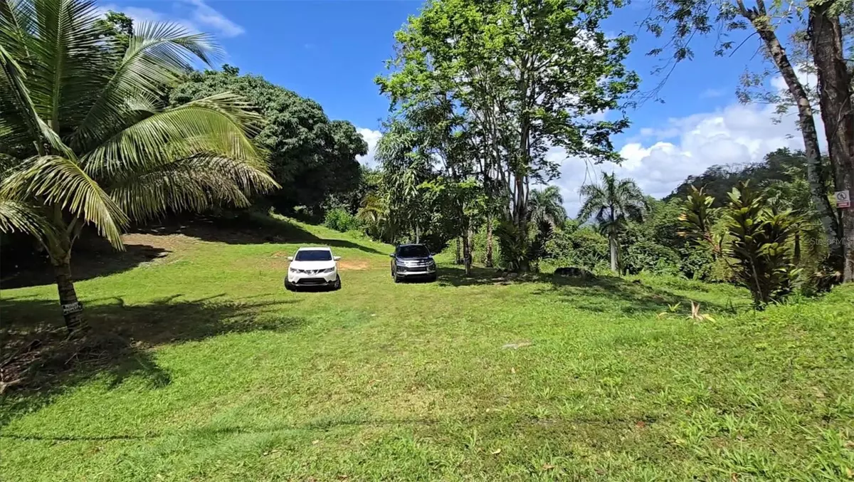 Caguas, PR 00725,BO BORINQUEN