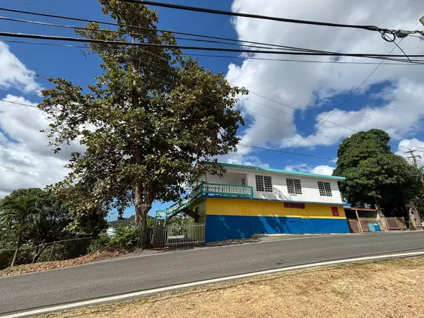 Carr. 119, Km. 014 BO. NARANJALES, Las Marias, PR 00670