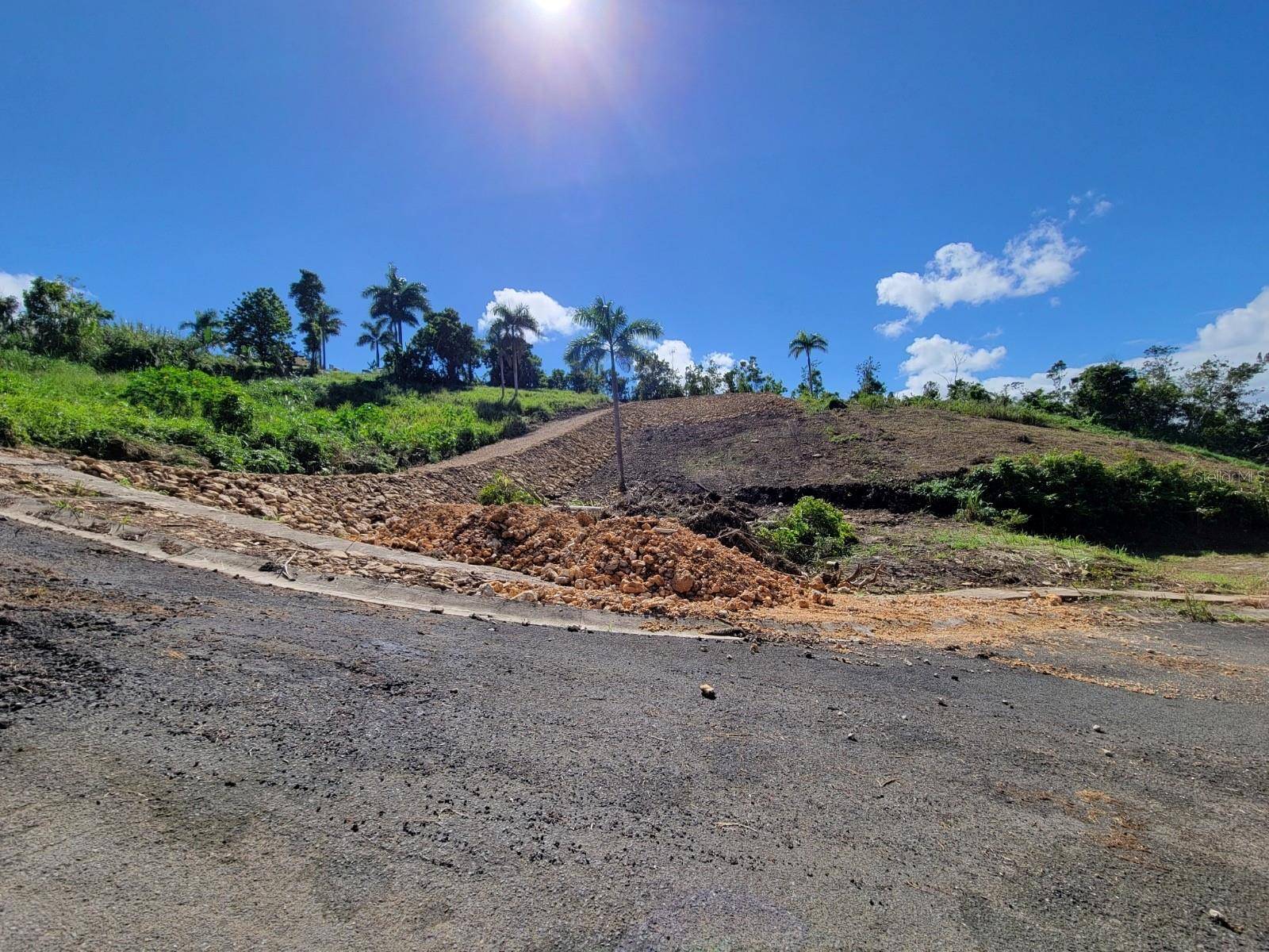 CARR 160, Vega Baja, PR 00693