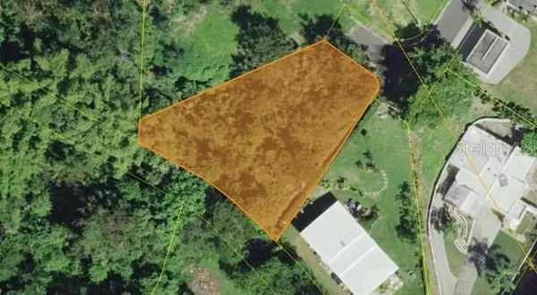 PR-102 MINILLAS WARD LOT 8, San German, PR 00683