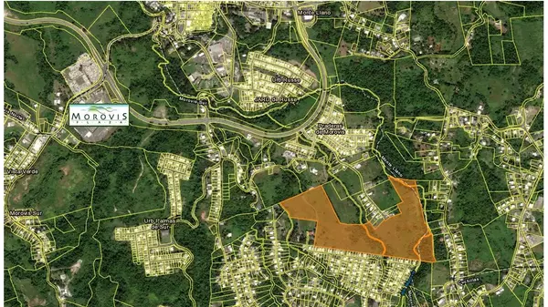 Morovis, PR 00687,PR-137 PRADERAS