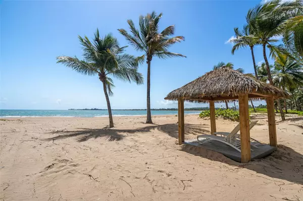 Rio Grande, PR 00745,7000 BAHIA BEACH BLVD #4101