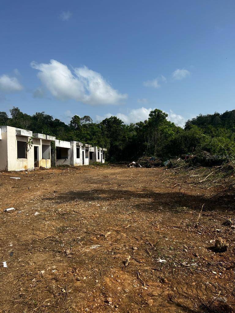 BO. ARENALEJOS, Arecibo, PR 00612