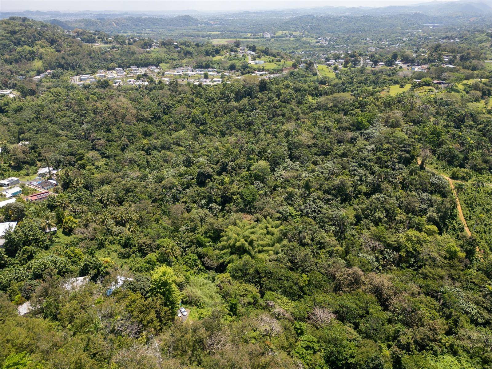 Toa Alta, PR 00953,Carretera 165 KM 7.3 INTERIOR
