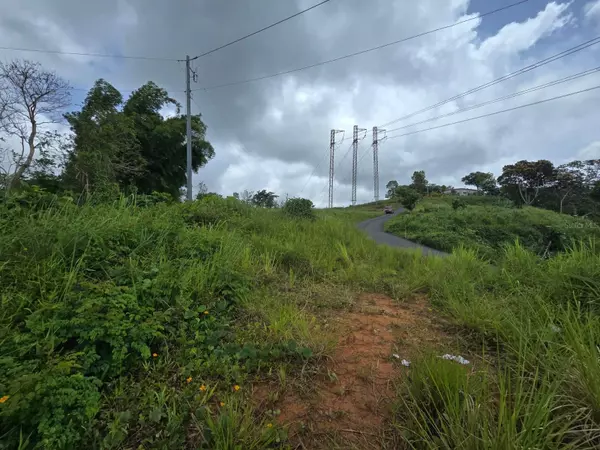 Yabucoa, PR 00767,46 PARCELA EN BO JACANAS