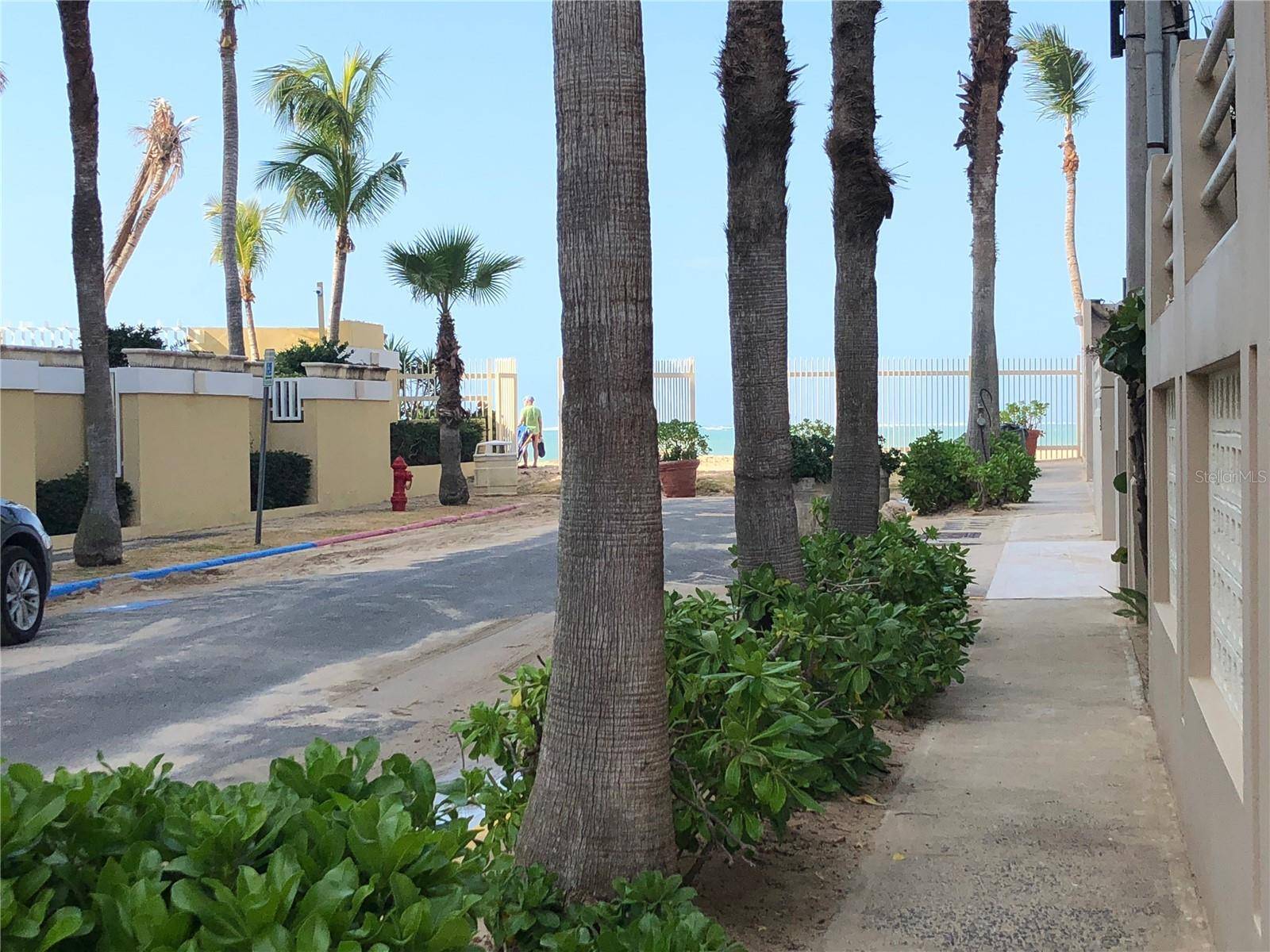 San Juan, PR 00911,5 CARRION COURT #4