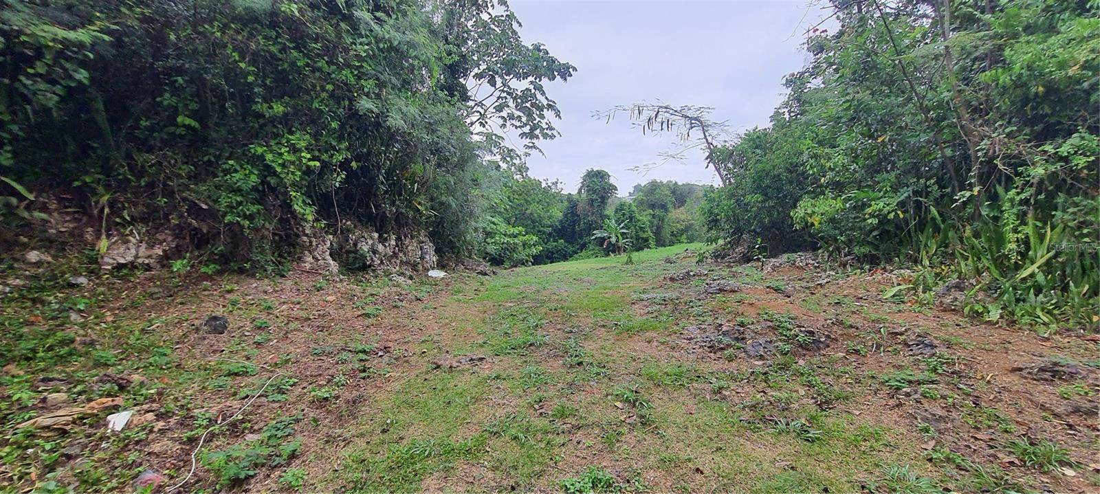 Quebradillas, PR 00678,CACAO WARD, LAS CHIVAS SECTOR