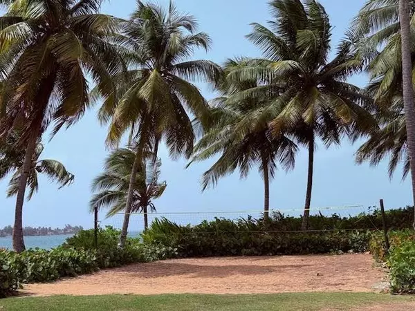 Rio Grande, PR 00745,CARR 968 KM 1.8 LAS PICUAS MAMEYES #F-3