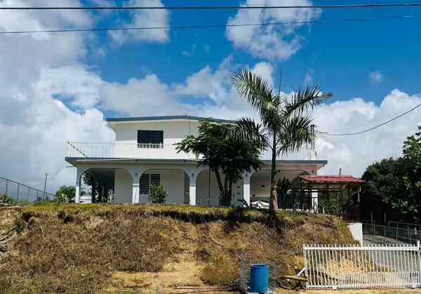 San Lorenzo, PR 00754,Carr 916 BARRIO CERRO GORDO