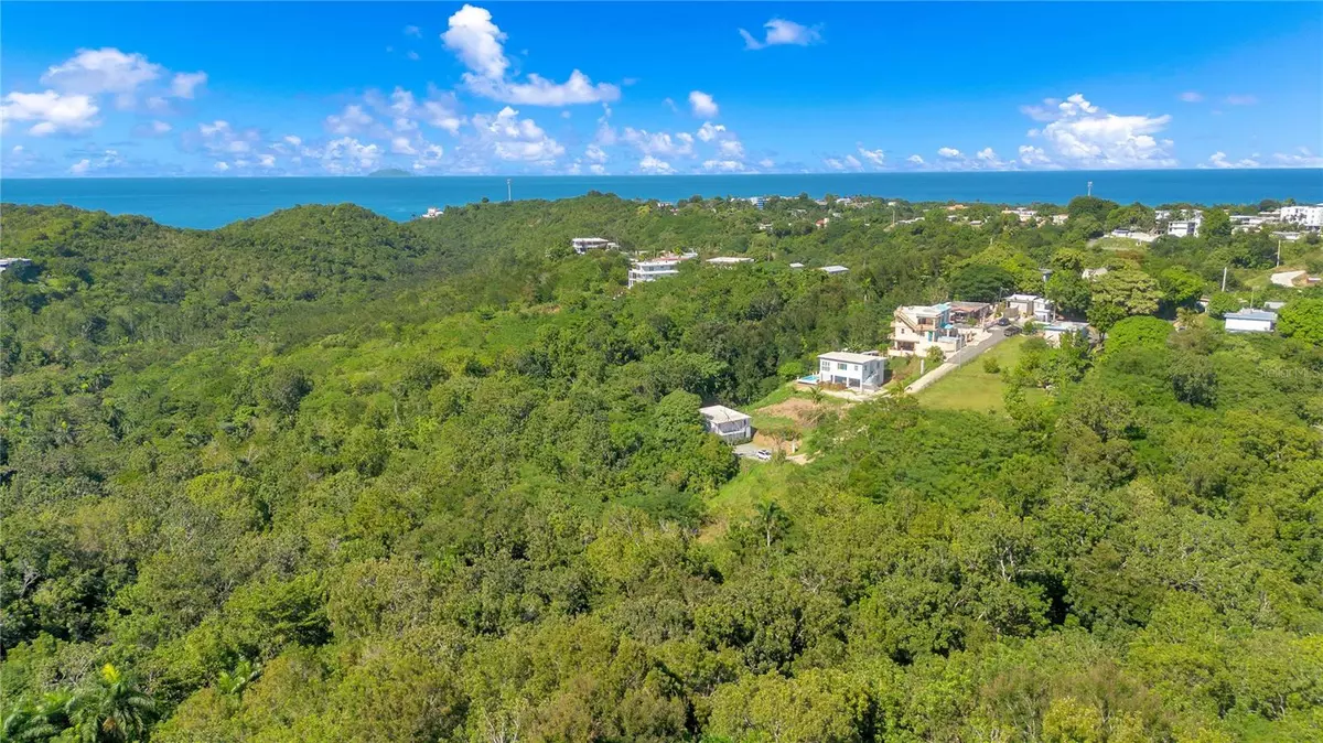 Rincon, PR 00677,CAMINO CARRETAS INT.