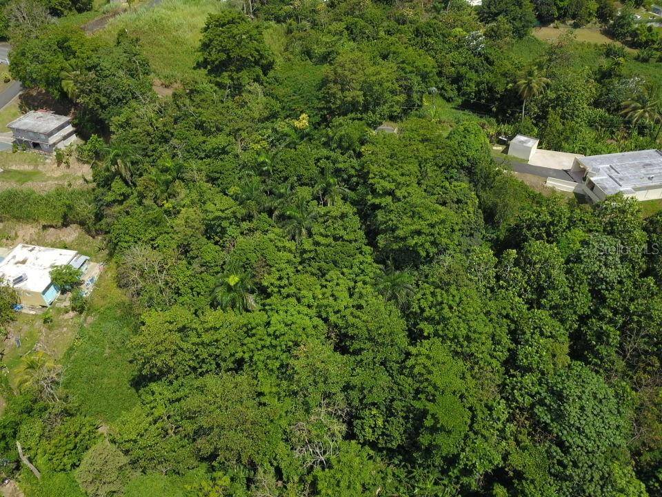 Guaynabo, PR 00969,PR 834 Km 3.9 BO. HATO NUEVO #lote 2