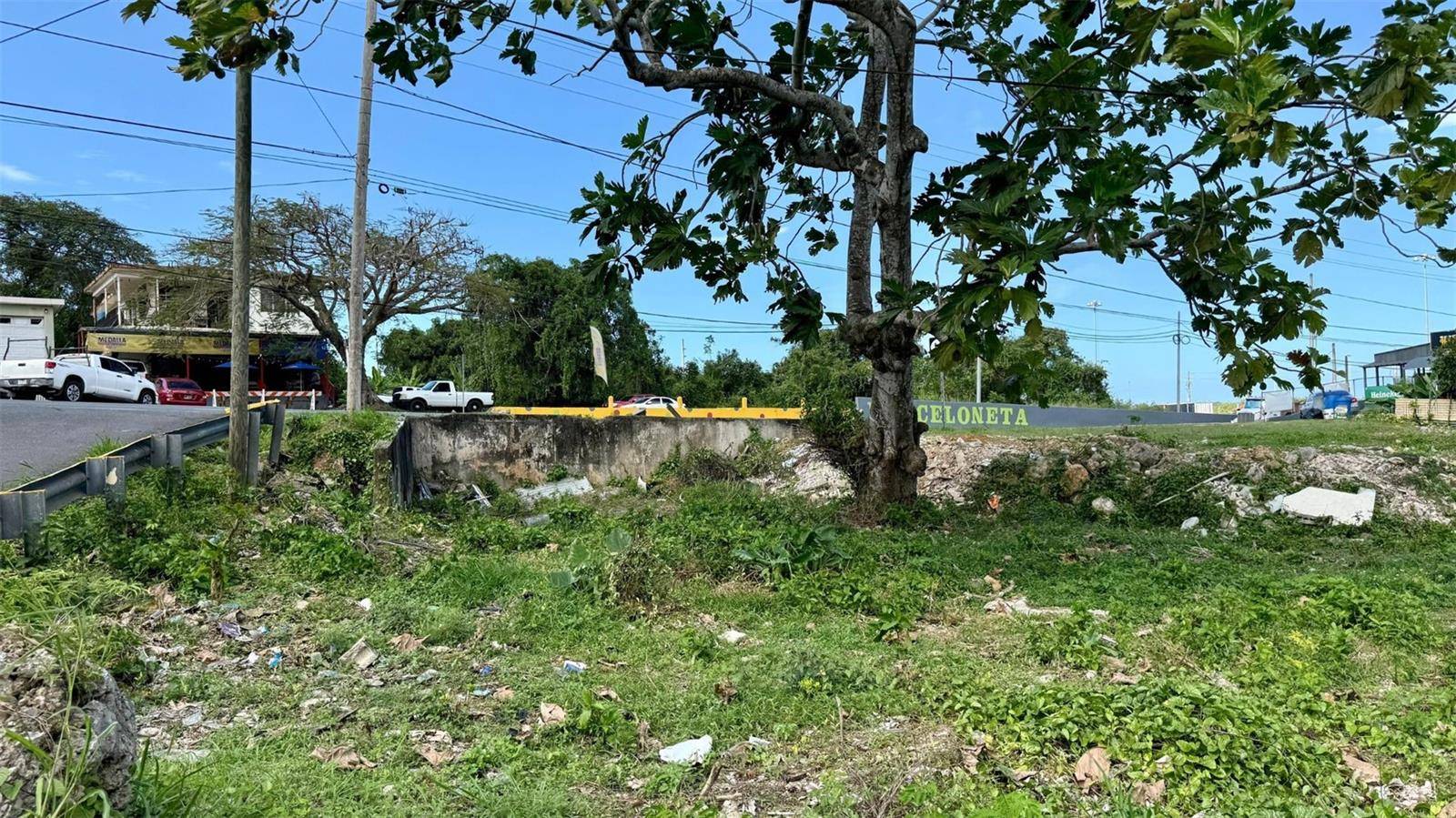 Palenque, PR 00617,PR 2 KM 55.8 LOTE 97