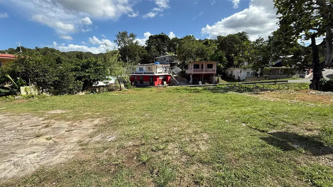 PR 2 KM 55.8 LOTE 97, Palenque, PR 00617