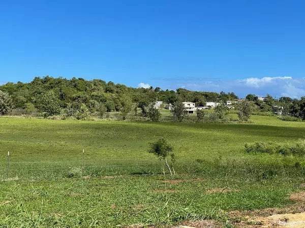 Camuy, PR 00627,CALLE DELGADO