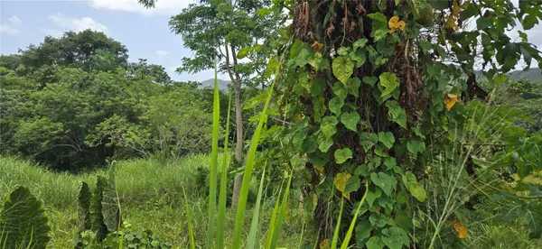 Bayamon, PR 00958,Km 9.1 SR-829 INT LOT 7 KM 9.1