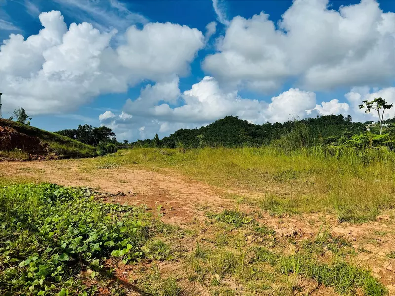 38 YAGRUMO ST., ESTANCIAS DEL SIERRA II, Aguas Buenas, PR 00703