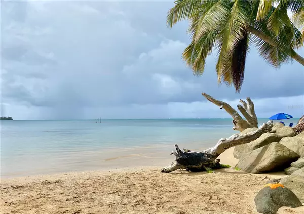 Rio Grande, PR 00745,968 CAMINO LAS PICUAS LOT 18 #24