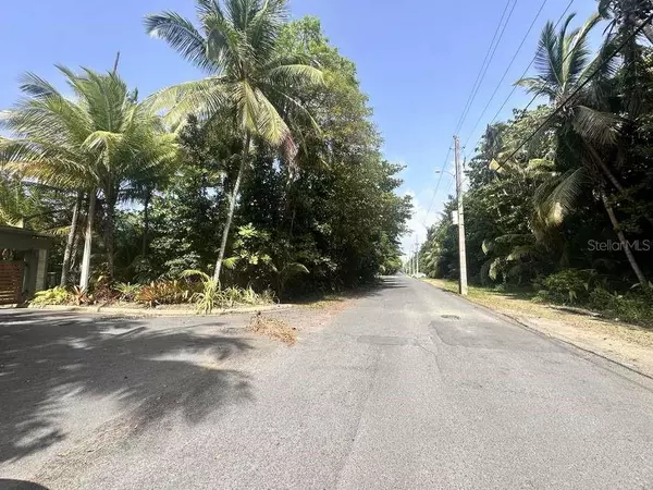Rio Grande, PR 00745,PR-968 KM 2.2 SECTOR LAS PICUAS
