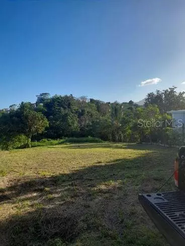 BO CERRO GORDO , CARR 916 KM.HM 3.7, San Lorenzo, PR 00754