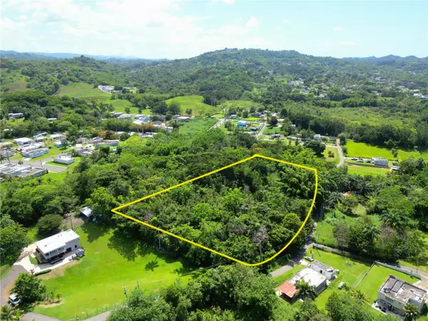 Toa Alta, PR 00953,CARR. 824 SECTOR LOS ALVAREZ BO. QUEBRADA CRUZ