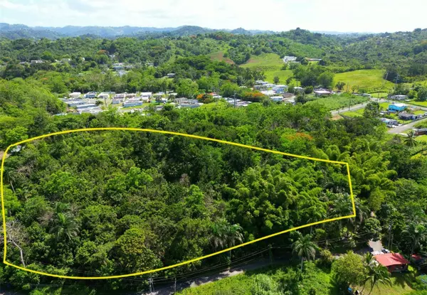 Toa Alta, PR 00953,CARR. 824 SECTOR LOS ALVAREZ BO. QUEBRADA CRUZ