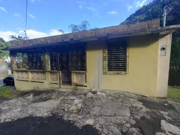 Carr 810 Km 0.4 BO. ACHIOTE, Naranjito, PR 00719