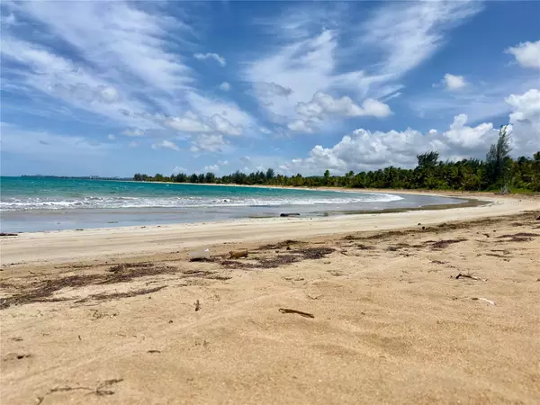 Rio Grande, PR 00745,968 CAMINO LAS PICUAS 1