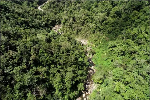 Utuado, PR 00641,Carr.140 BO MAMEYES ABAJO