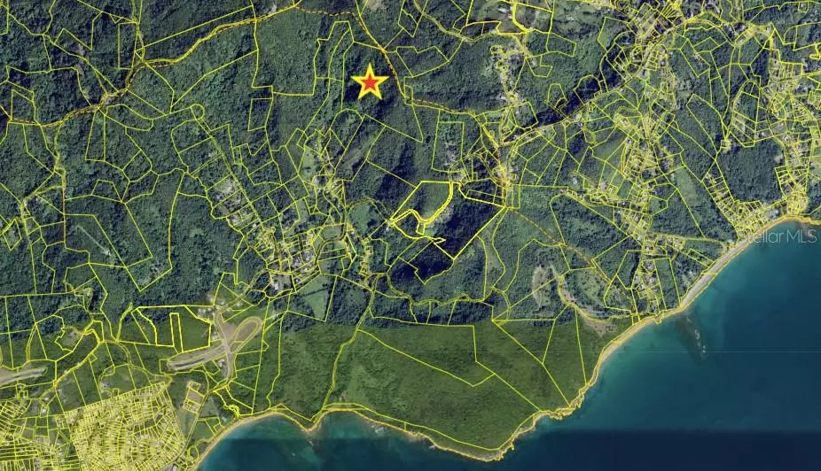 CALLE CASANOVA, Maunabo, PR 00707