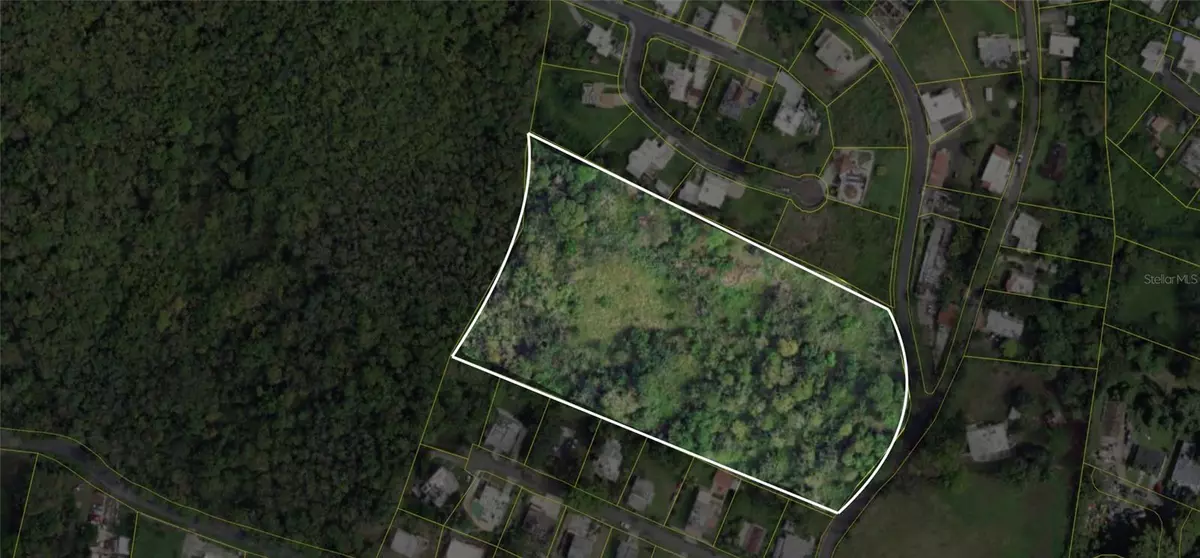 Cidra, PR 00739,BO. ARENAS CARR PR-734 KM 6.3