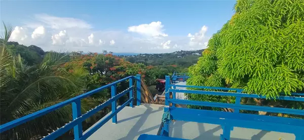 Vieques, PR 00765,56 ROOSTER RUN GUEST HOUSE