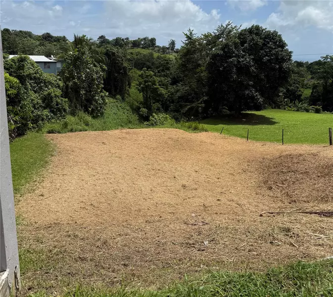 BO. TEJAS, Yabucoa, PR 00767