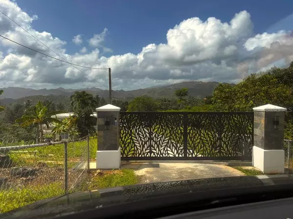 Ciales, PR 00638,Solar 19 BARRIO CORDILLERA