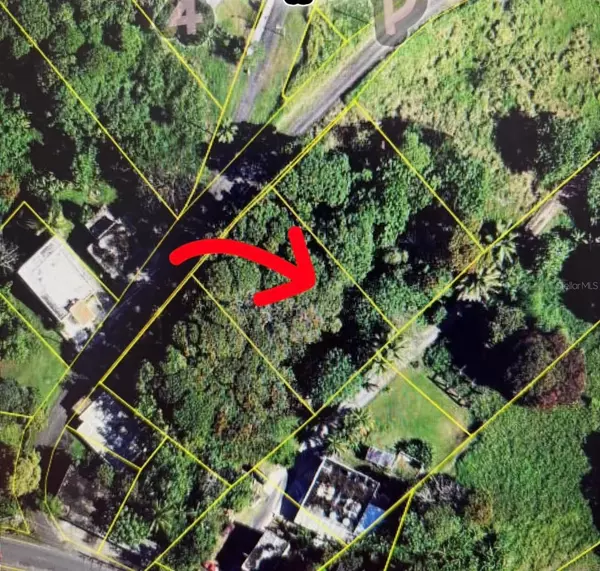 S2 PR 198 QUEBRADA WARD,  Las Piedras,  PR 00771