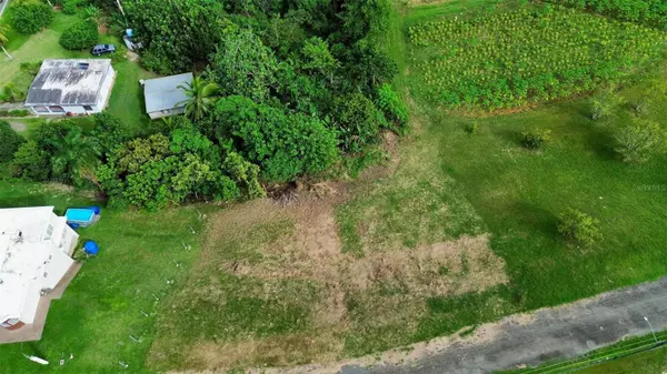 San Sebastian, PR 00685,BO ROBLES PARCELA 7