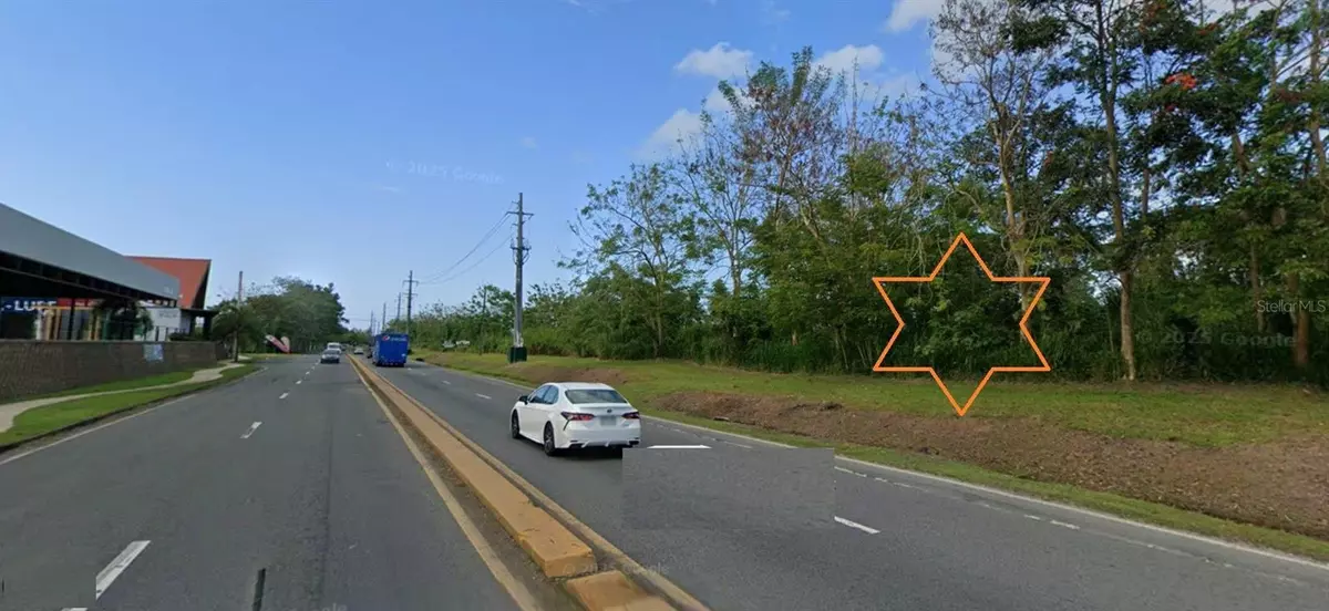 Dorado, PR 00646,BO. MAGUAYO FINCA LA VEGA PARCELA A