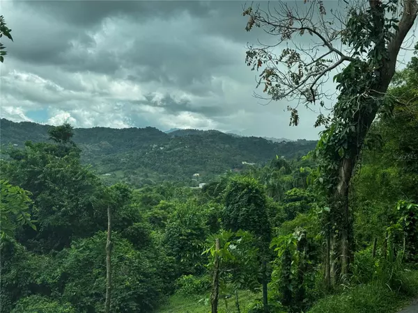 Gurabo, PR 00778,Carr 181 BO MASA KM 13 HM 2 #Lote 3