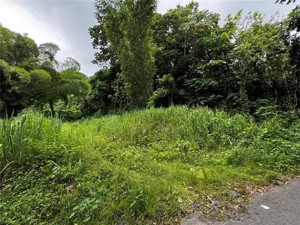 Gurabo, PR 00778,Carr 181 BO MASA KM 13 HM 2 #Lote 3