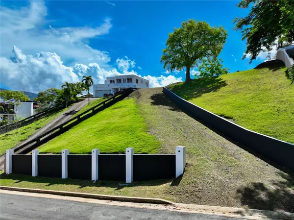 Gurabo, PR 00778,MAMEY 189 #40