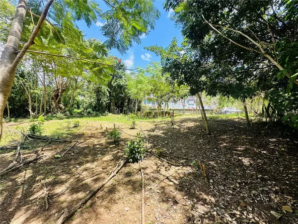 Arroyo, PR 00714,Las palmas CALLE POMARROSA #94