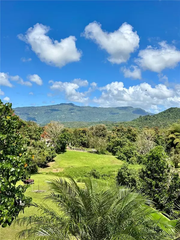 Bo Collores CARR#936 KM 1.0 #Solar #1, Las Piedras, PR 00771