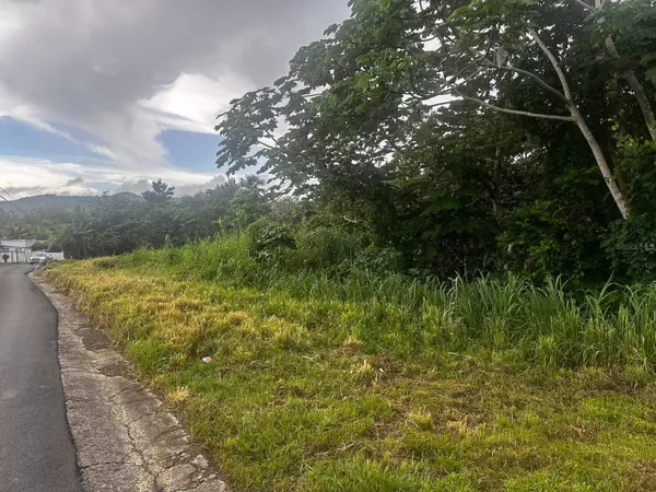 San Juan, PR 00926,PR-1 KM 27.4 CAIMITO ALTO WARD