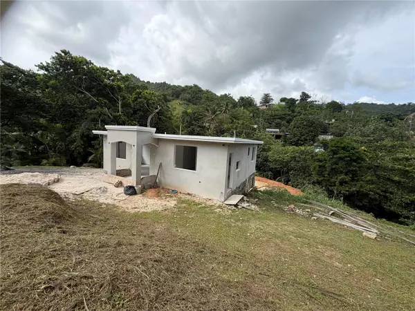 Caguas, PR 00727,BO. CAÑABONCITO, CARR. 784 KM 5.2