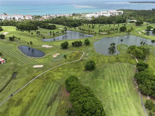 Rio Grande, PR 00745,Address not disclosed