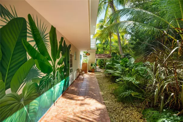 Rincon, PR 00677,Carr. 413 Int. Km 4 THE JUNGLE