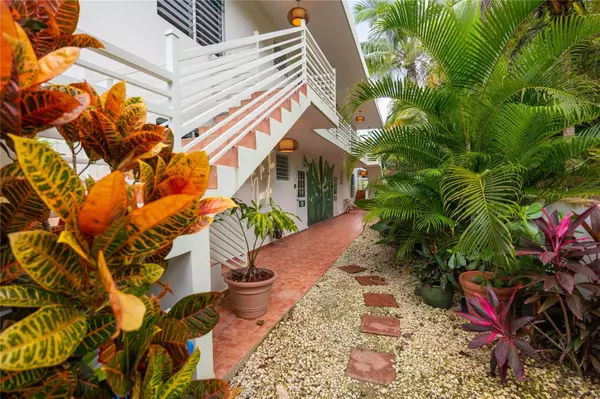 Rincon, PR 00677,Carr. 413 Int. Km 4 THE JUNGLE