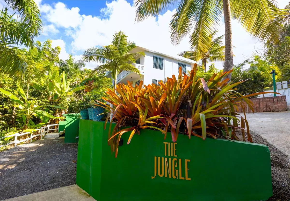 Rincon, PR 00677,Carr. 413 Int. Km 4 THE JUNGLE