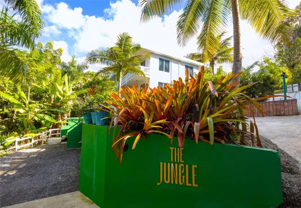 Carr. 413 Int. Km 4 THE JUNGLE, Rincon, PR 00677