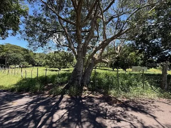 Cabo Rojo, PR 00623,BO LLANOS TUNA